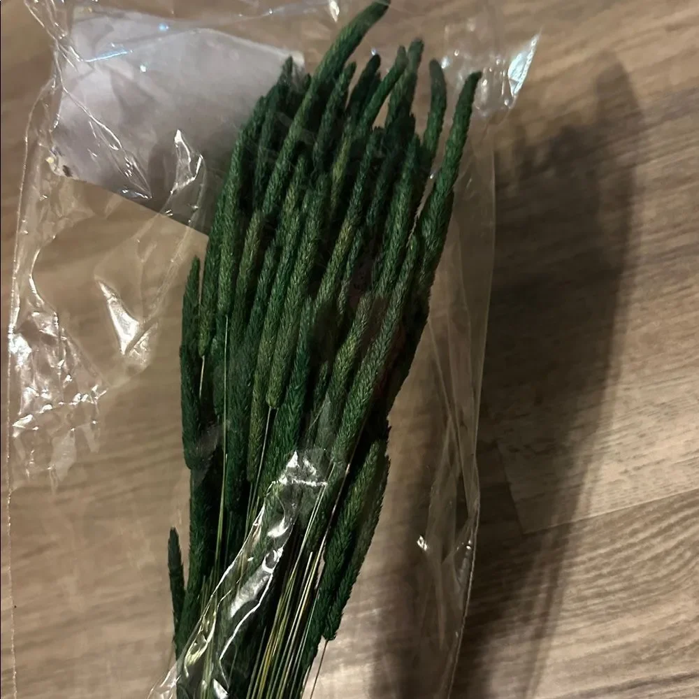 🌼10/$25 +BULK Sale | Bundle 10 items $7-$9 & Save! Otherwise priced as marked!